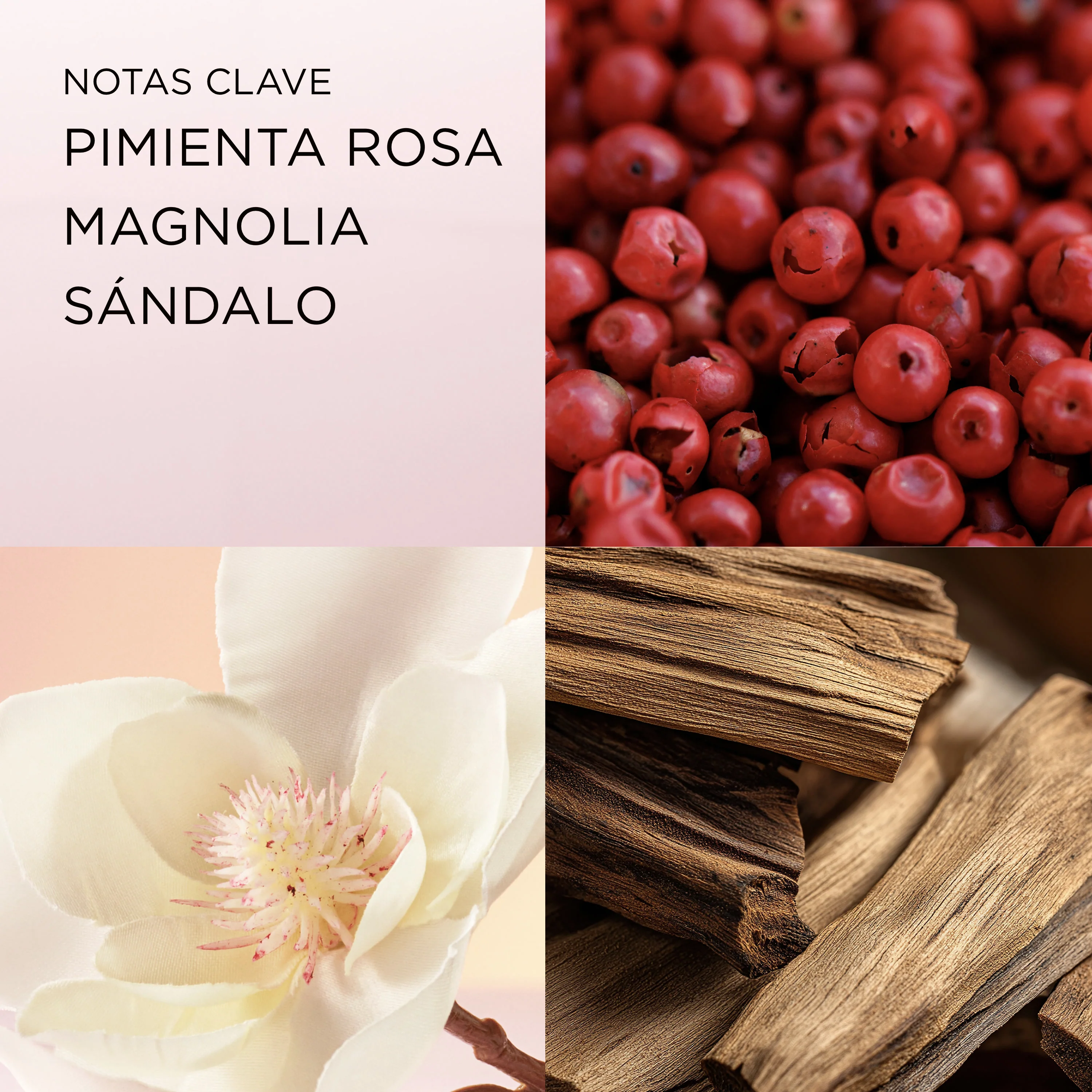 Imagen del producto 10
